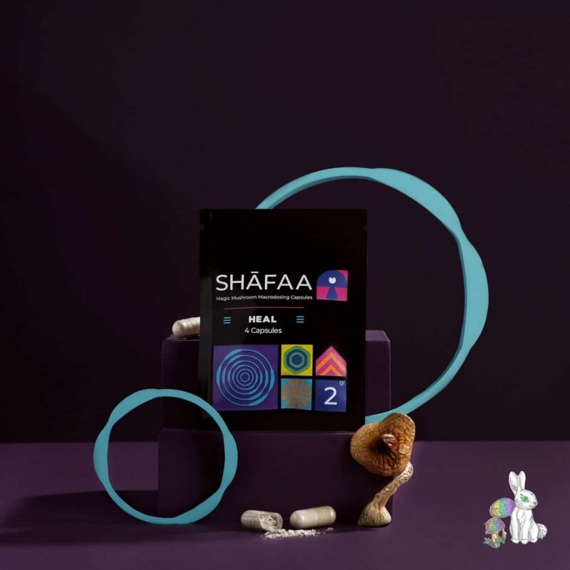 Shafaa0072